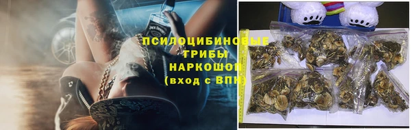 каннабис Алзамай