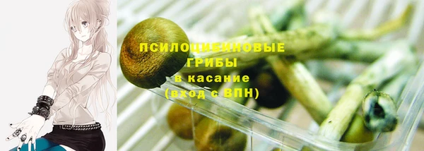 Альфа ПВП Алексин
