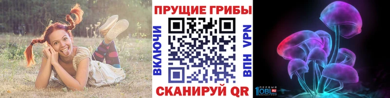 Псилоцибиновые грибы ЛСД Плавск